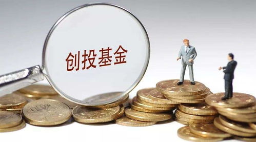 資本新布局 達晨創投入股河南文投旗下懷樸投資，加速文化產業投資版圖擴張